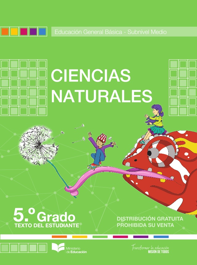 Libro de ciencias naturales de quinto grado de EGB resuelto (2024) – Descargar en PDF