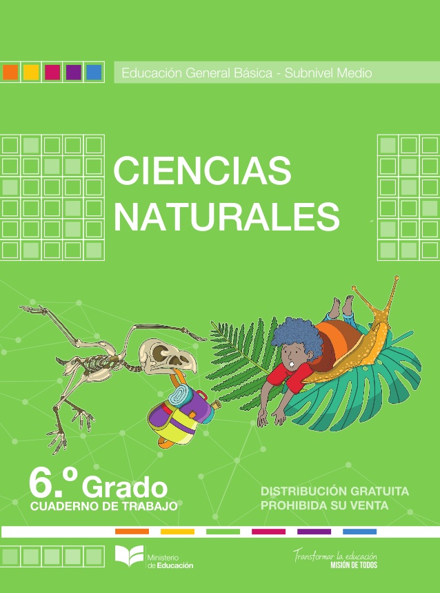 Libro de ciencias naturales de sexto grado de EGB resuelto (2024) – Descargar en PDF