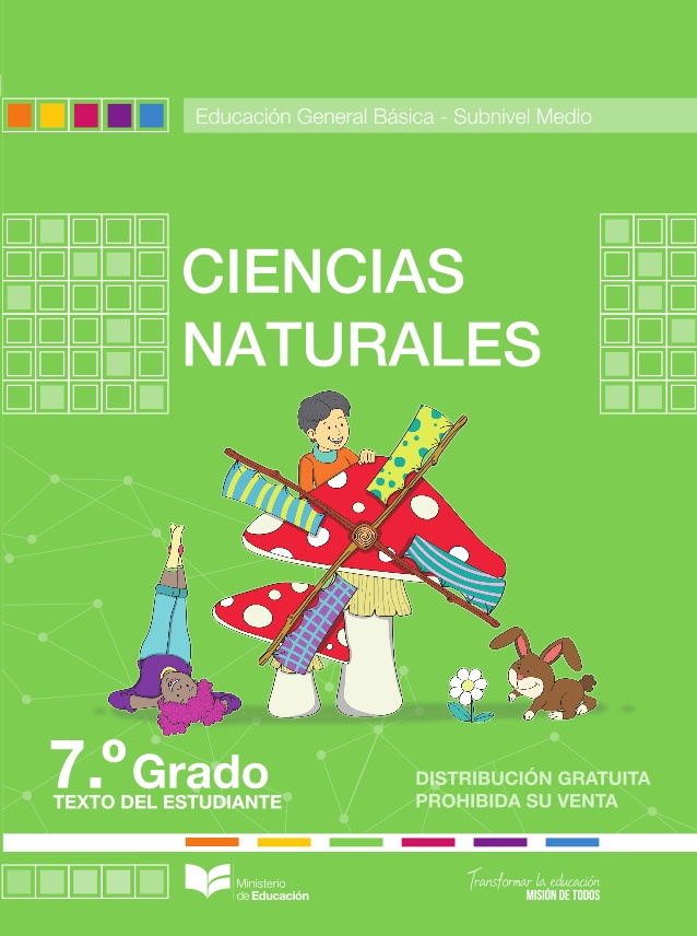 Libro de ciencias naturales de séptimo grado de EGB resuelto (2024) – Descargar en PDF